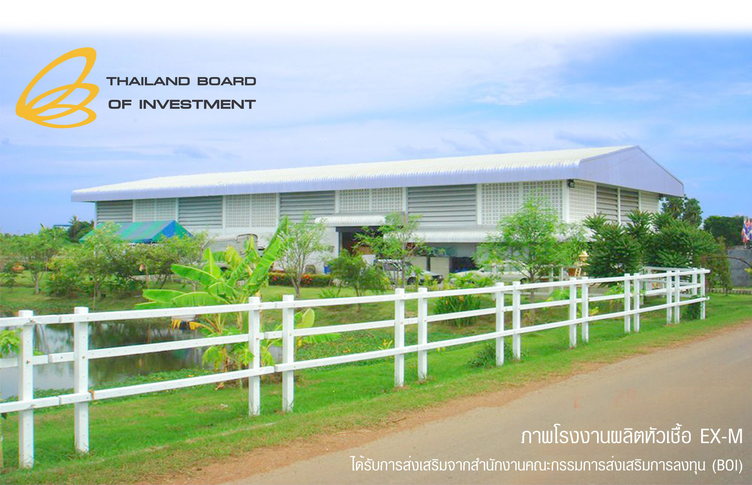 โรงงานผลิตหัวเชื้อจุลินทรีย์ EX-M ที่ได้รับการส่งเสริมจาก BOI