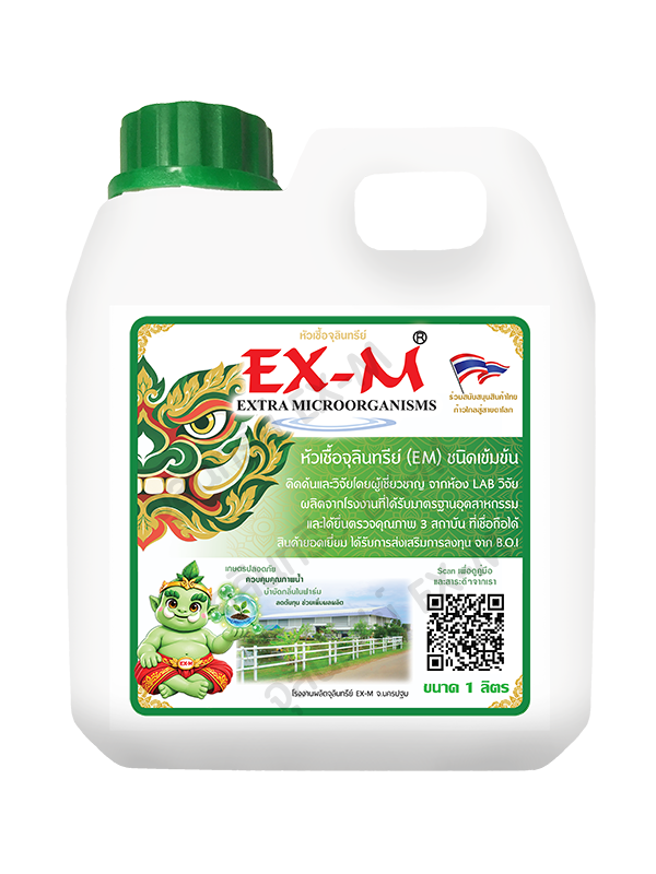 EX-M Original
