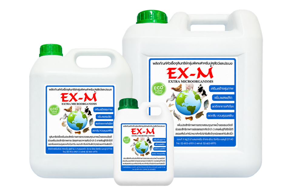ผลิตภัณฑ์จุลินทรีย์ EX-M Cattle ขนาด 1, 5 และ 10 ลิตร