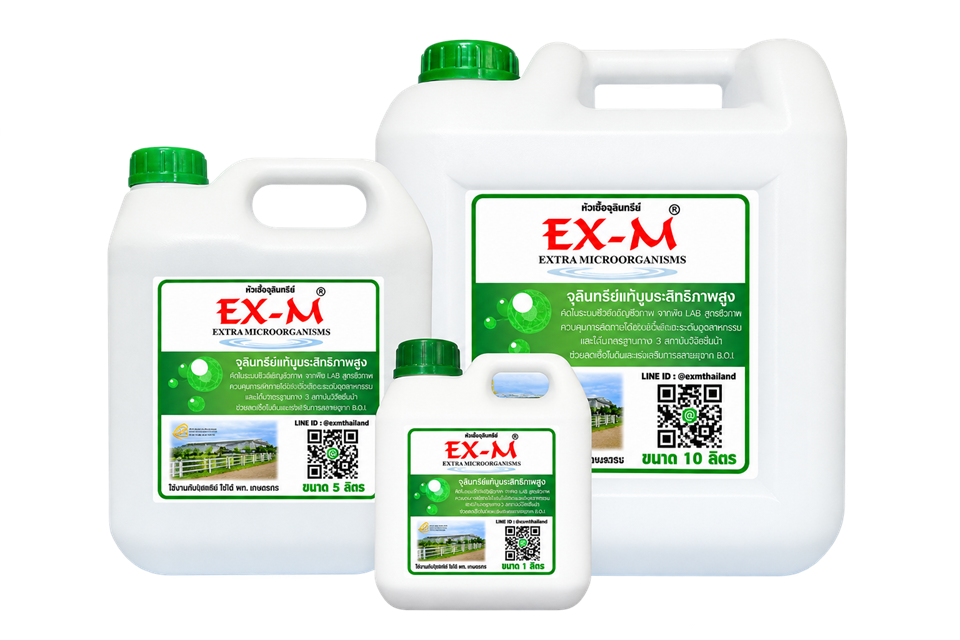 ผลิตภัณฑ์จุลินทรีย์ EX-M Original ขนาด 1, 5 และ 10 ลิตร